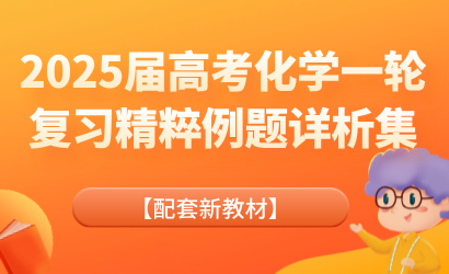 2025届高考化学一轮复习精粹例题详析集【配套新教材】