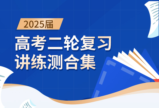 2025届高考二轮复习讲练测合集