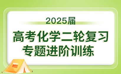 2025届高考化学二轮复习专题进阶训练