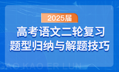 2025届高考语文二轮复习题型归纳与解题技巧