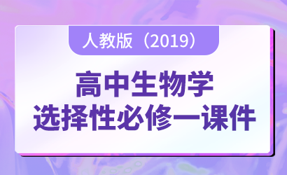 高中生物学人教版（2019）选择性必修一课件
