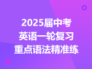 2025届中考英语一轮复习重点语法精准练（更新中）